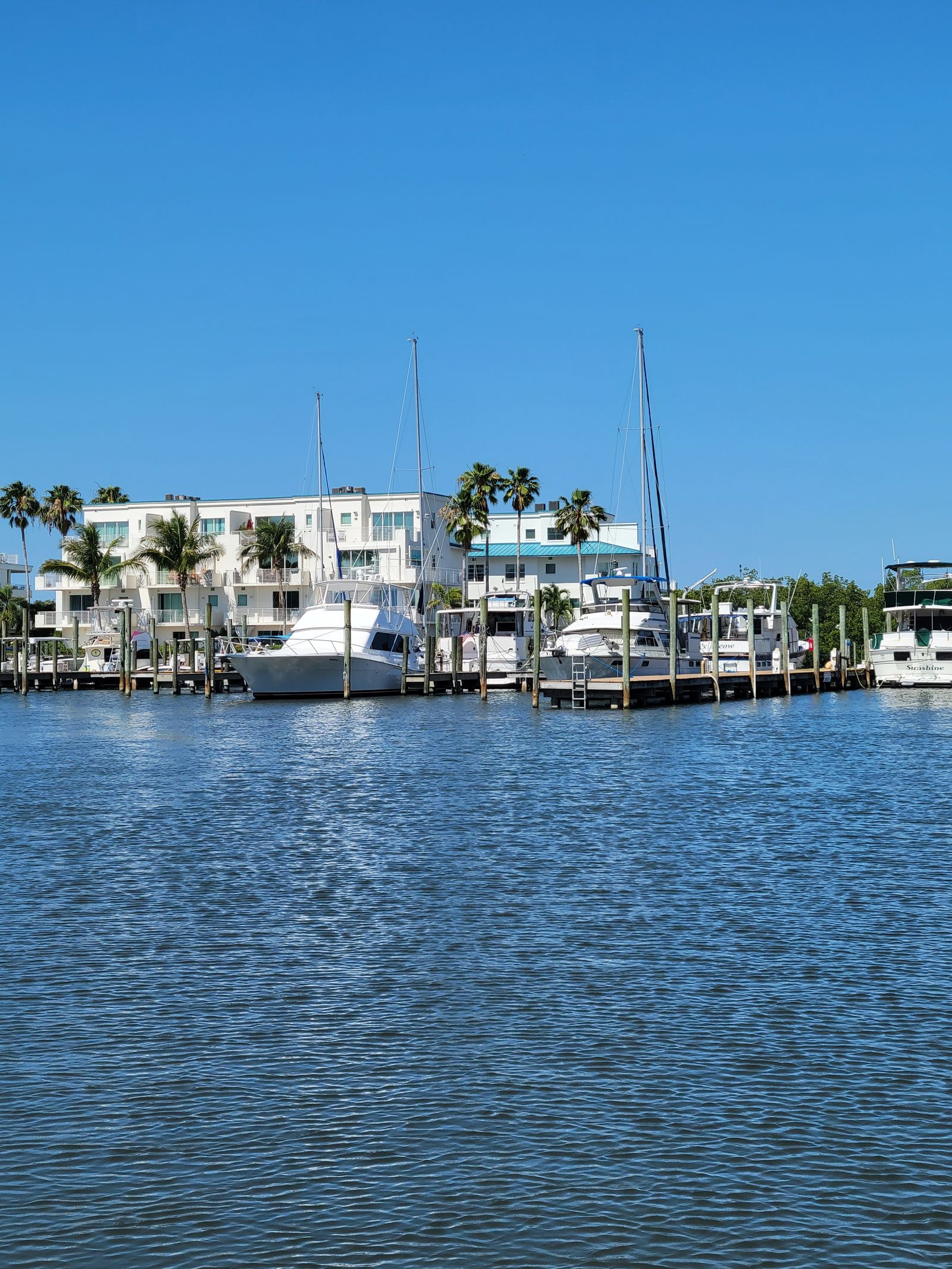 Naples, Florida marina with boats and palm trees on a sunny day