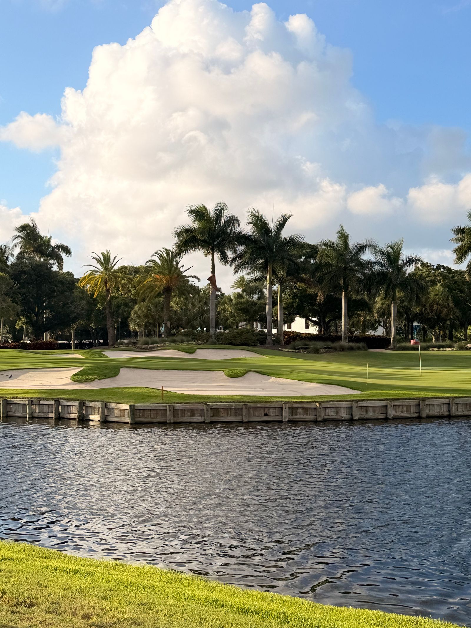 Palm-lined Florida golf fairway with water feature on a sunny day