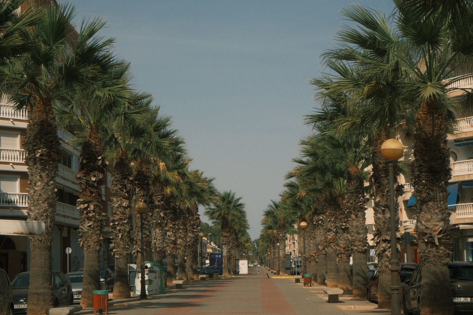 Palm-lined street under a clear blue sky in a coastal town