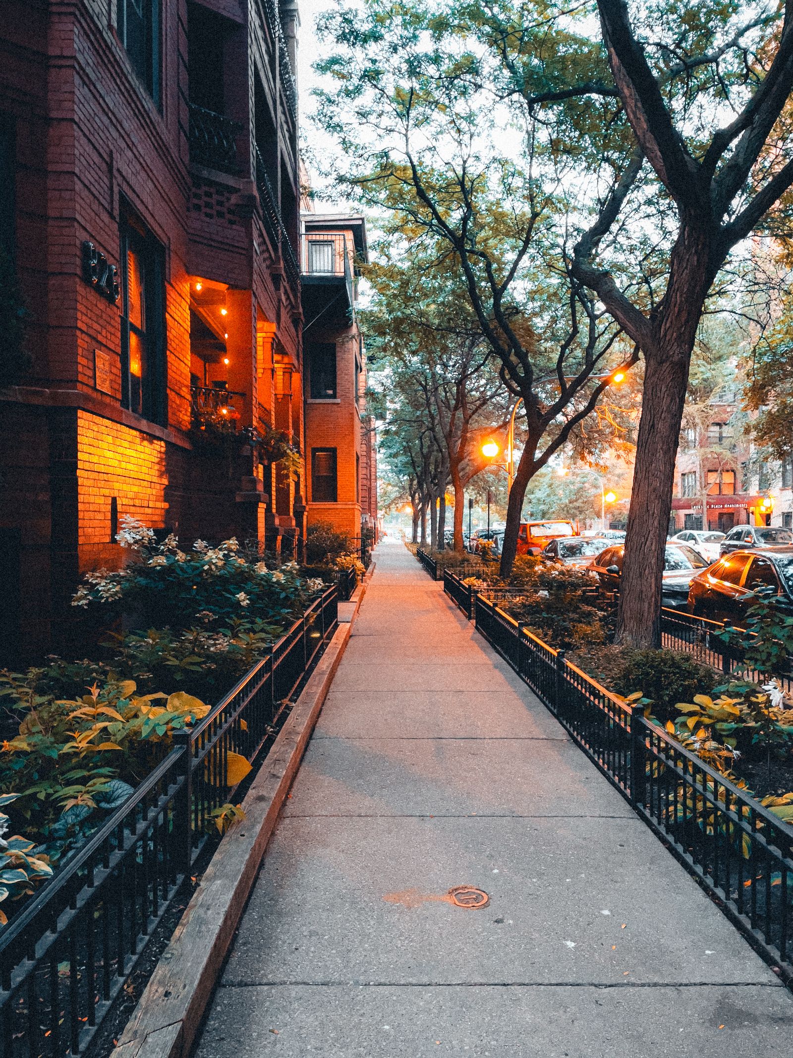 Tree-shaded sidewalk lined with low brick storefronts at dusk
